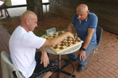 Schlachtenbummler II